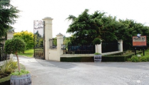 Pegasus Winery, Vineyard and Restaurant