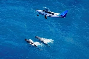 Von Christchurch: Privater Transfer nach Kaikoura mit Guide
