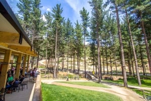 Szenische Sesselliftfahrt im Christchurch Adventure Park