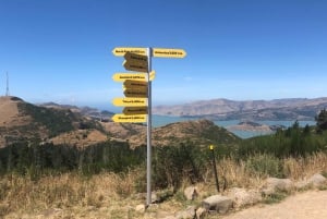 Szenische Sesselliftfahrt im Christchurch Adventure Park
