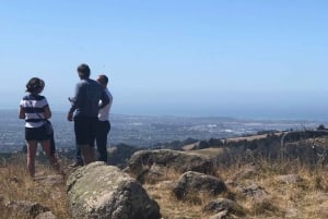 Szenische Sesselliftfahrt im Christchurch Adventure Park