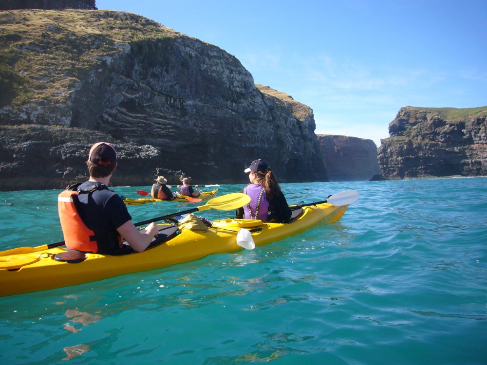 Sea Kayaking Safari