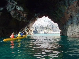 Sea Kayaking Safari