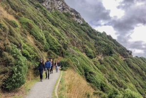 South Island-højdepunkter: 9-dages eventyr i New Zealand