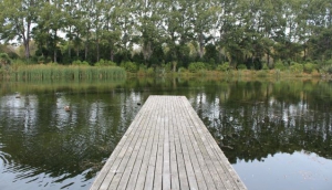 Best Christchurch Parks to Visit