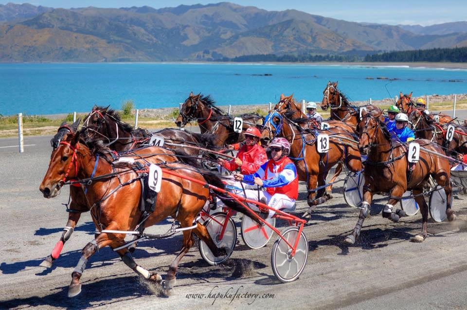 Kaikoura Race Weekend Day 2 Marlborough Anniversary Day My Guide