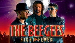 The Bee Gees Night Fever
