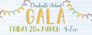Clarkville School Twilight Gala