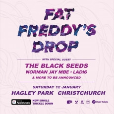 Fat Freddy's Drop - Live in Hagley Park