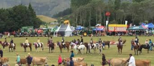 New Zealand Agricultural Show