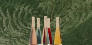 POURING PLACES - Elsewhere Gin Feature Night