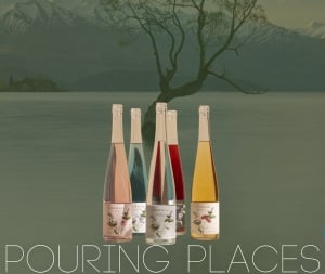 POURING PLACES - Elsewhere Gin Feature Night