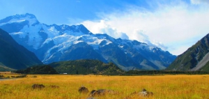 Canterbury Camp Sites