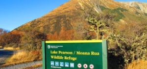 Canterbury Camp Sites