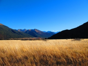 Arthur's Pass National Park