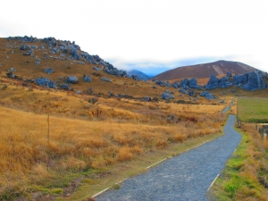 Castle Hill Scenic Reserve 