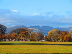 Hagley Park, Christchurch