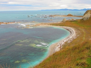 Seal Colony, Kaikoura