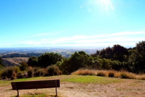 Victoria Park, Christchurch 