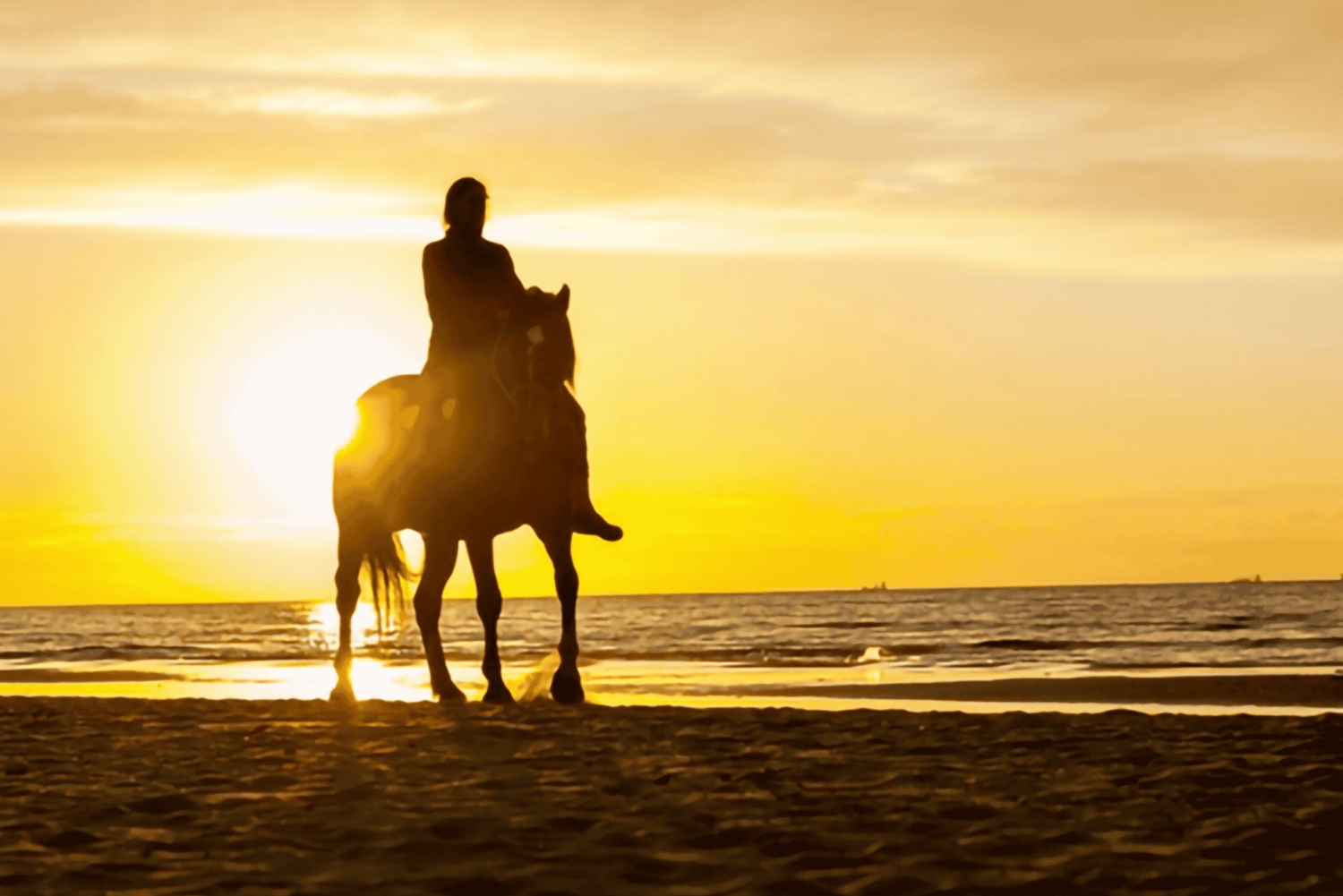 Cartagena: Bay Boat Cruise or Sunset Horseback Beach Ride