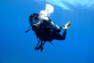 Tayrona National Park: Scuba Diving Tour for Beginners