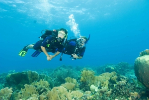 Tayrona National Park: Scuba Diving Tour for Beginners