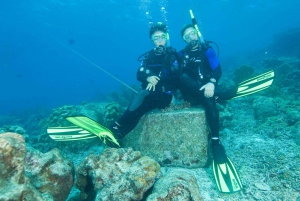 Tayrona National Park: Scuba Diving Tour for Beginners
