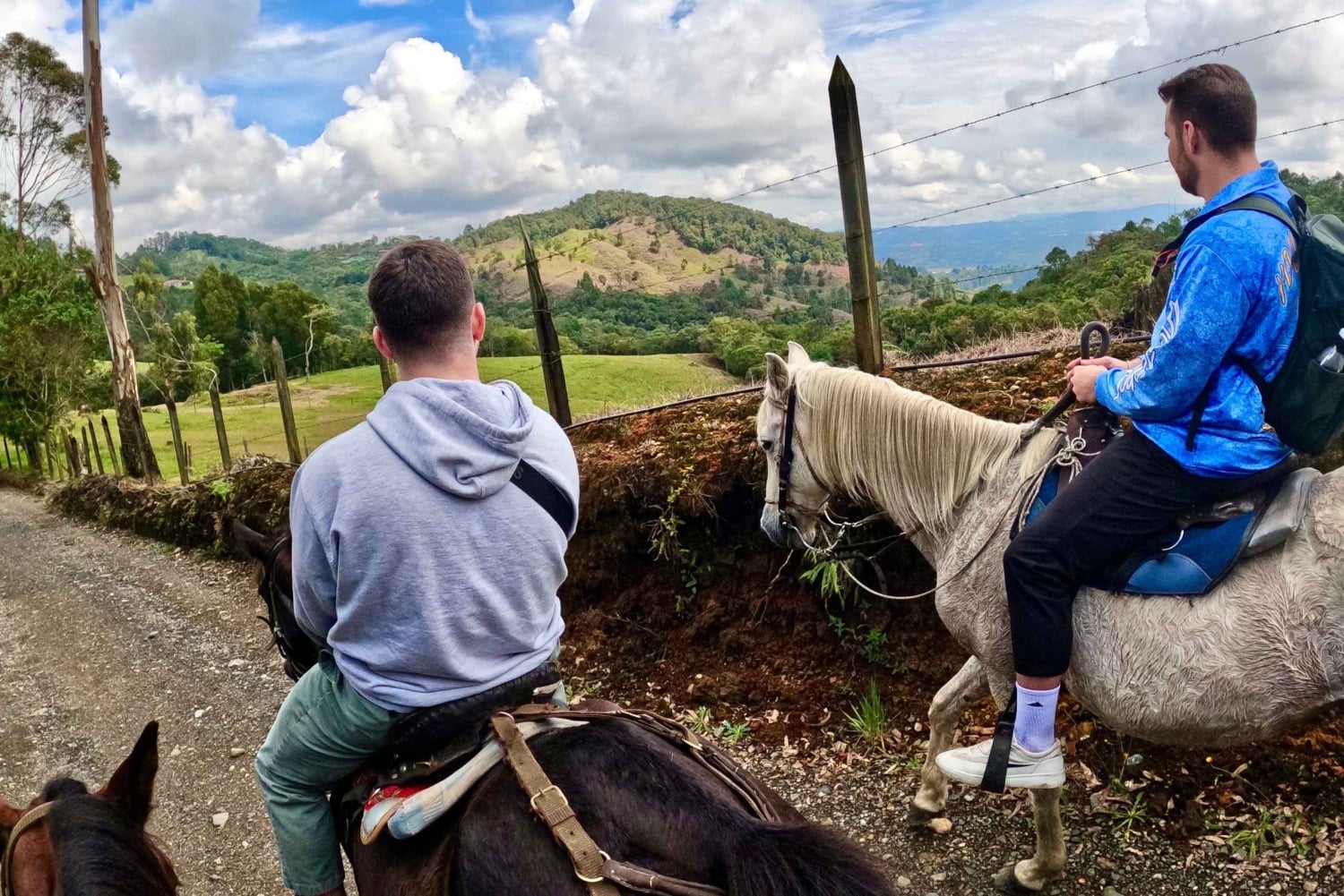 Ridning 2 timer + privat transport + bilder og videoer + gave til de 5 første som bestiller.