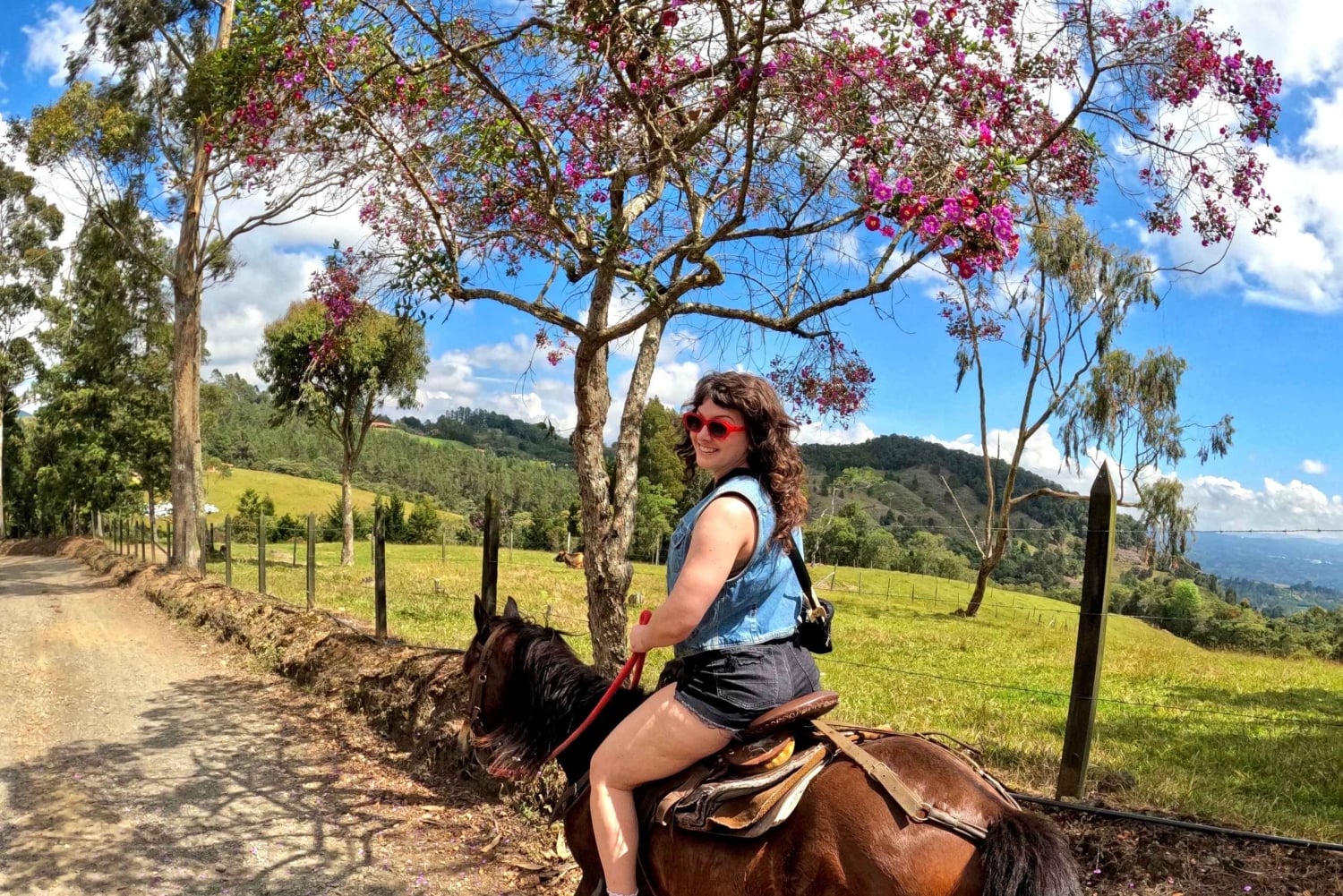 Ridning 2 timer + privat transport + bilder og videoer + gave til de 5 første som bestiller.