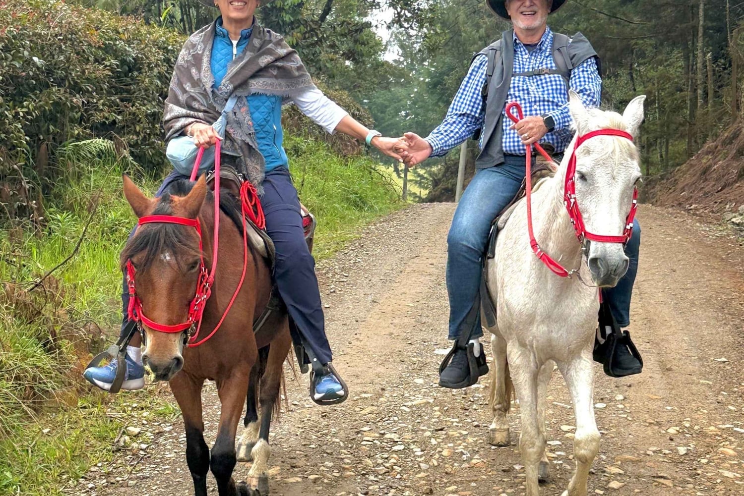 Ridning 2 timer + privat transport + bilder og videoer + gave til de 5 første som bestiller.