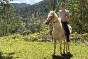 Ridning 2 timer + privat transport + bilder og videoer + gave til de 5 første som bestiller.