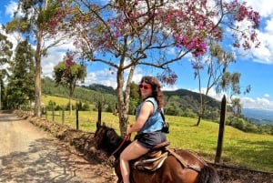 Ridning 2 timer + privat transport + bilder og videoer + gave til de 5 første som bestiller.