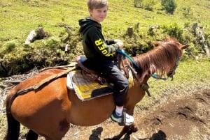 Ridning 2 timer + privat transport + bilder og videoer + gave til de 5 første som bestiller.