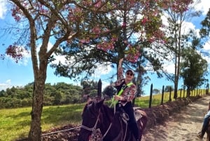 Ridning 2 timer + privat transport + bilder og videoer + gave til de 5 første som bestiller.