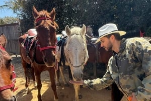 Ridning 2 timer + privat transport + bilder og videoer + gave til de 5 første som bestiller.