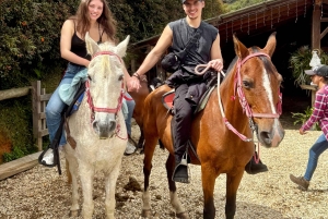 Ridning 2 timer + privat transport + bilder og videoer + gave til de 5 første som bestiller.