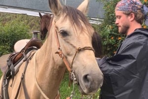 Ridning 2 timer + privat transport + bilder og videoer + gave til de 5 første som bestiller.