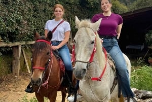 Ridning 2 timer + privat transport + bilder og videoer + gave til de 5 første som bestiller.