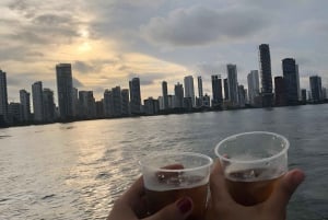 2-hour tour in Cartagena Sunset View in party boat