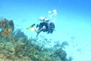 4 Days Adventure; Medellin to San Andres- Intro to Diving