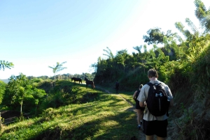 3-дневный альтернативный поход к Затерянному городу