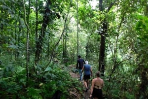 3-дневный альтернативный поход к Затерянному городу