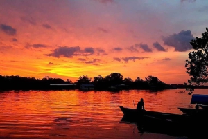 3-Day Amazon Expedition: Jungle, River & Wildlife Tour