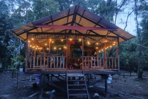 3-Day Amazon Expedition: Jungle, River & Wildlife Tour