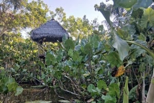 3-Day Amazon Expedition: Jungle, River & Wildlife Tour