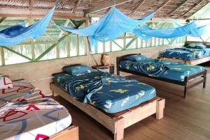 3-Day Amazon Expedition: Jungle, River & Wildlife Tour