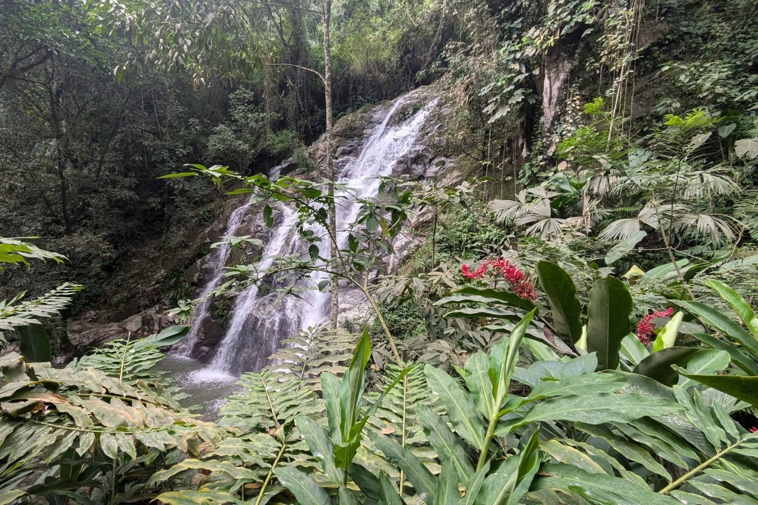 TURE TIL 3 VANDFALD OG KAKAOWORKSHOP