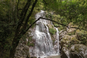 TURER 3 FOSSER OG KAKAOWORKSHOP