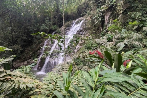 TURER 3 FOSSER OG KAKAOWORKSHOP