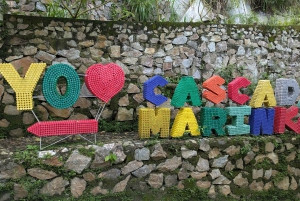 TURER 3 FOSSER OG KAKAOWORKSHOP